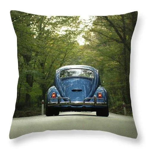 Bug On The Road - Throw Pillow