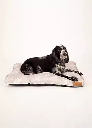 Scruffs Medium Botanical Dog Mattress | Kaleidoscope