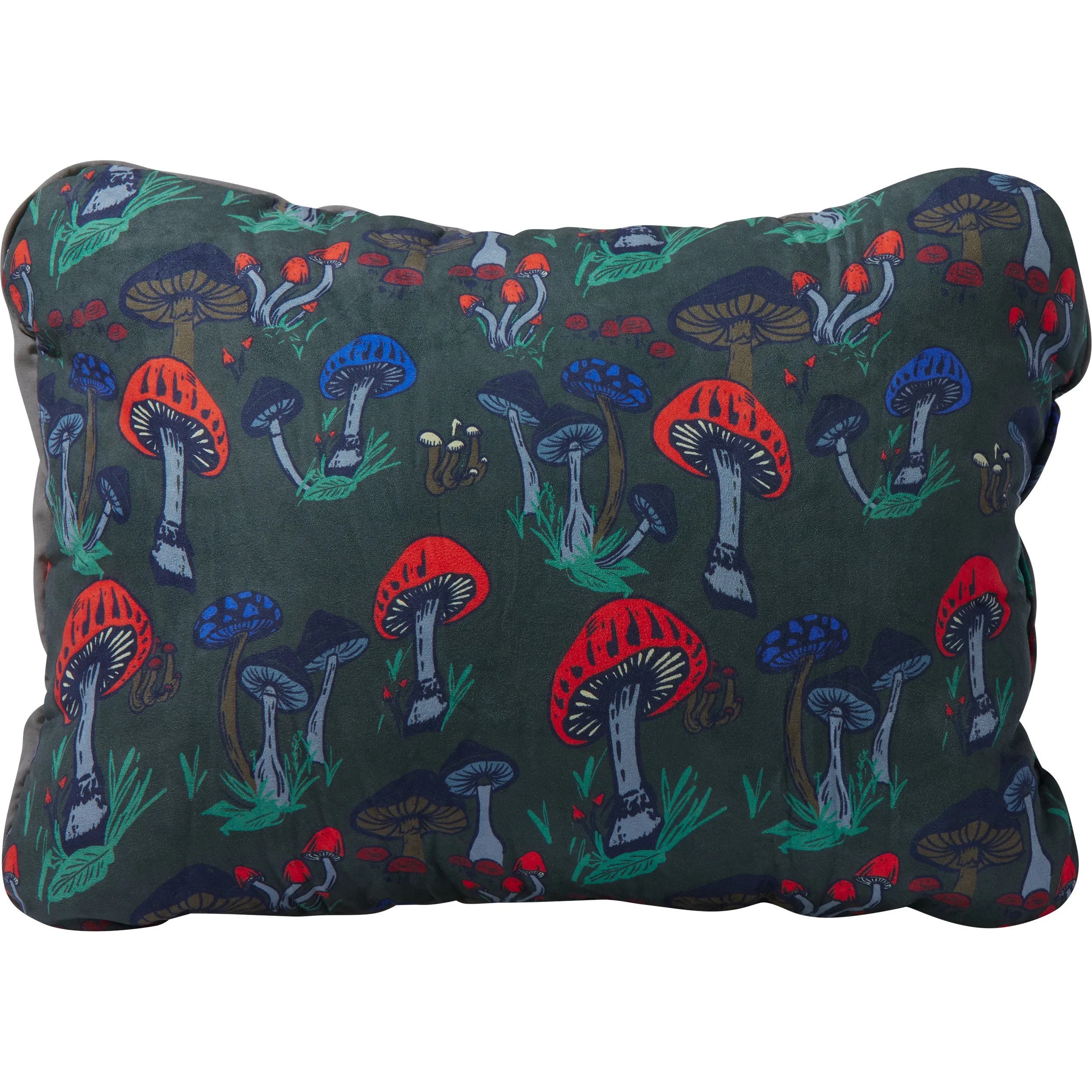 Therm-a-Rest Compressible Pillow Cinch - Regular